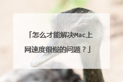 怎么才能解决Mac上网速度很慢的问题?