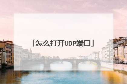 怎么打开UDP端口
