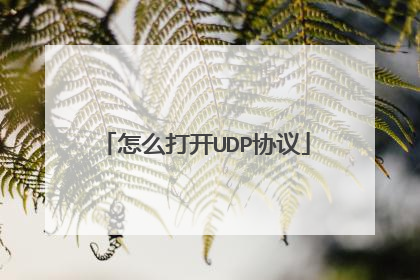 怎么打开UDP协议