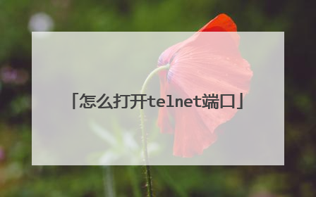 怎么打开telnet端口