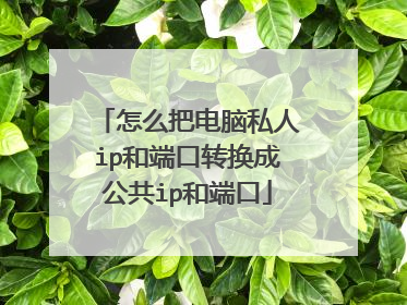 怎么把电脑私人ip和端口转换成公共ip和端口