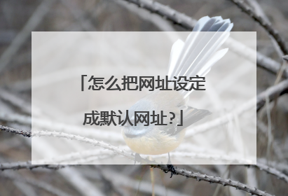 怎么把网址设定成默认网址?