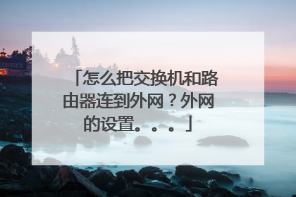 怎么把交换机和路由器连到外网？外网的设置。。。