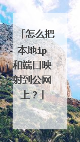 怎么把本地ip和端口映射到公网上？