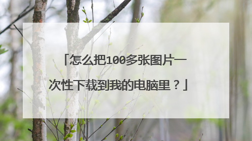 怎么把100多张图片一次性下载到我的电脑里?