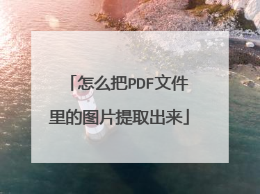 怎么把PDF文件里的图片提取出来
