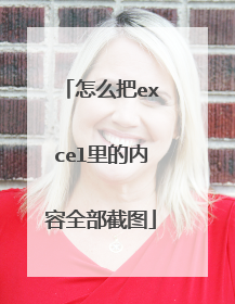 怎么把excel里的内容全部截图
