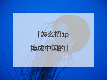 怎么把ip换成中国的