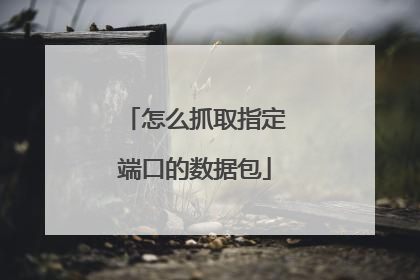 怎么抓取指定端口的数据包