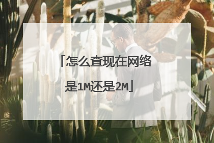 怎么查现在网络是1M还是2M