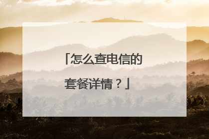 怎么查电信的套餐详情?