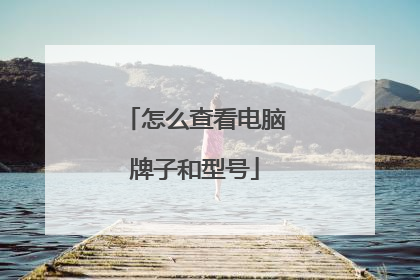 怎么查看电脑牌子和型号