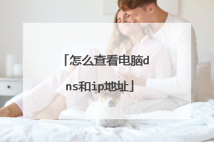怎么查看电脑dns和ip地址