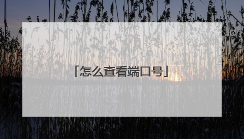 怎么查看端口号