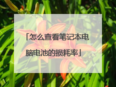 怎么查看笔记本电脑电池的损耗率