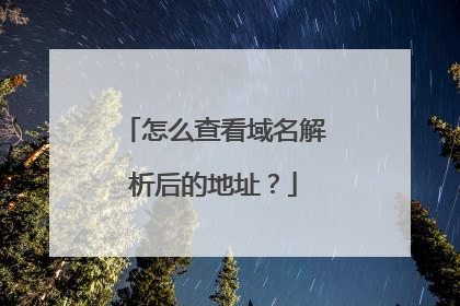 怎么查看域名解析后的地址?