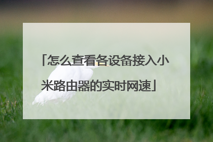 怎么查看各设备接入小米路由器的实时网速
