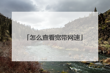 怎么查看宽带网速
