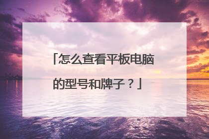 怎么查看平板电脑的型号和牌子?