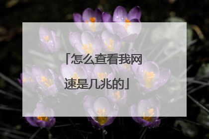 怎么查看我网速是几兆的
