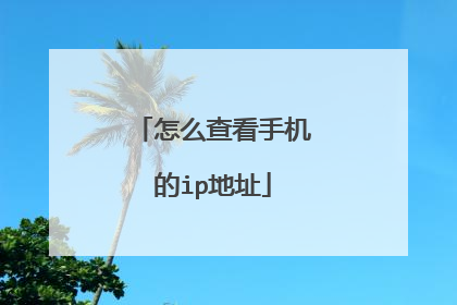 怎么查看手机的ip地址