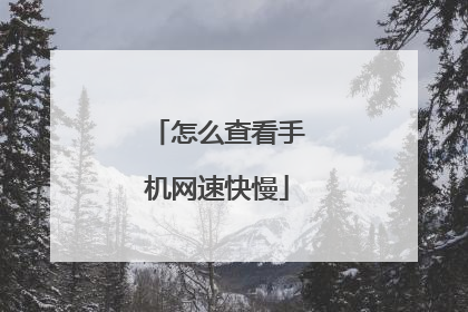 怎么查看手机网速快慢