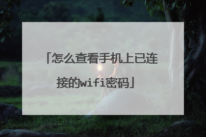 怎么查看手机上已连接的wifi密码