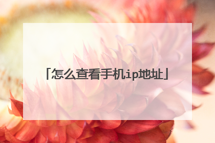 怎么查看手机ip地址