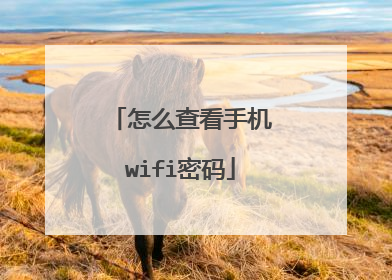 怎么查看手机wifi密码