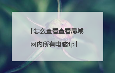 怎么查看查看局域网内所有电脑ip