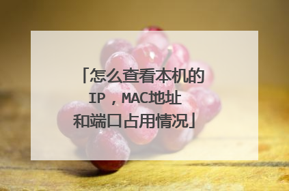 怎么查看本机的IP，MAC地址和端口占用情况
