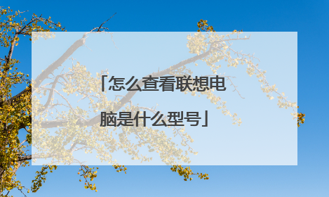 怎么查看联想电脑是什么型号