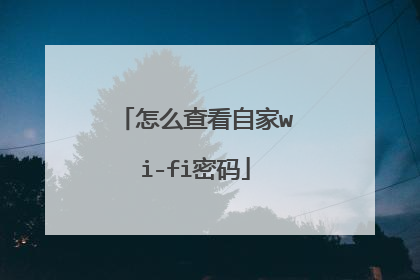 怎么查看自家wi-fi密码