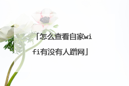 怎么查看自家wifi有没有人蹭网