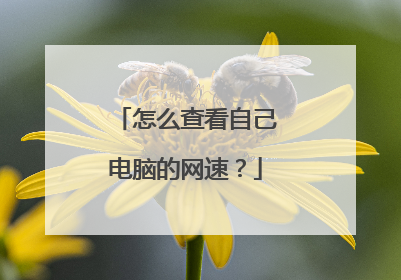 怎么查看自己电脑的网速？
