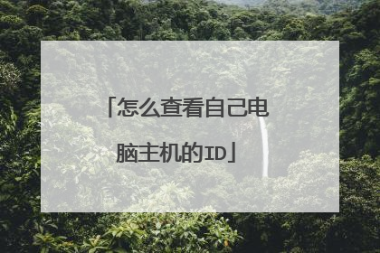 怎么查看自己电脑主机的ID