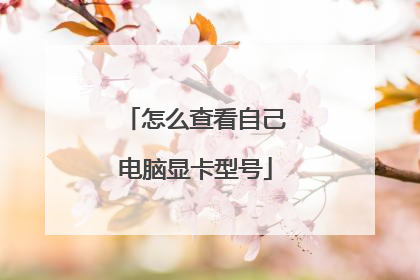 怎么查看自己电脑显卡型号