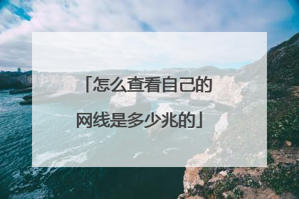 怎么查看自己的网线是多少兆的