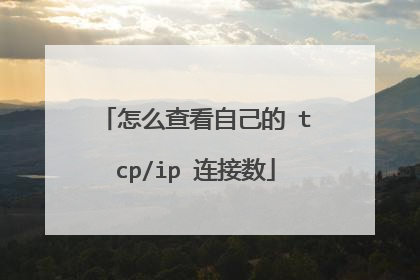 怎么查看自己的 tcp/ip 连接数