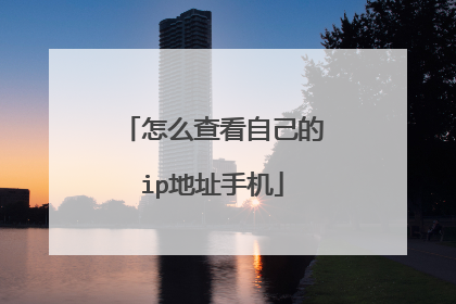 怎么查看自己的ip地址手机