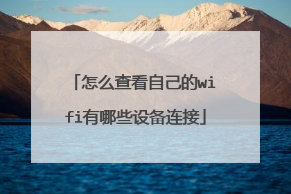 怎么查看自己的wifi有哪些设备连接