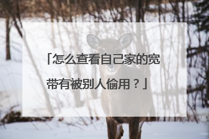 怎么查看自己家的宽带有被别人偷用?