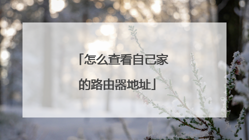 怎么查看自己家的路由器地址