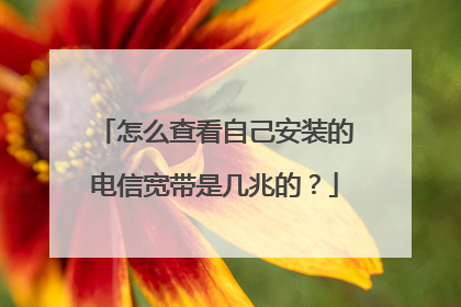怎么查看自己安装的电信宽带是几兆的？