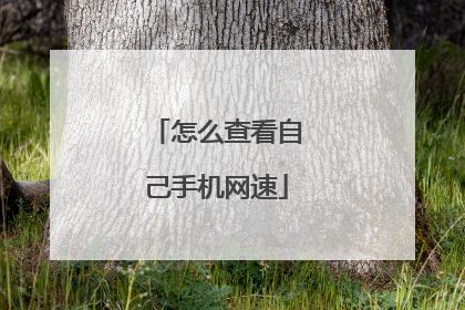 怎么查看自己手机网速