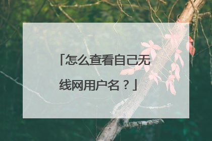 怎么查看自己无线网用户名？