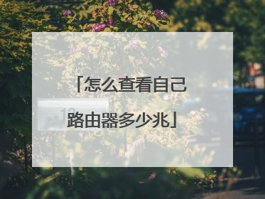 怎么查看自己路由器多少兆