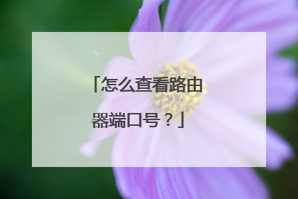 怎么查看路由器端口号？