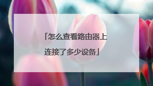 怎么查看路由器上连接了多少设备