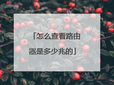 怎么查看路由器是多少兆的